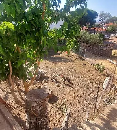 çamlaraltıpansiyon *