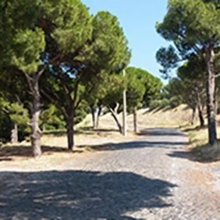 çamlaraltıpansiyon Séjour chez l'habitant Ayvalı