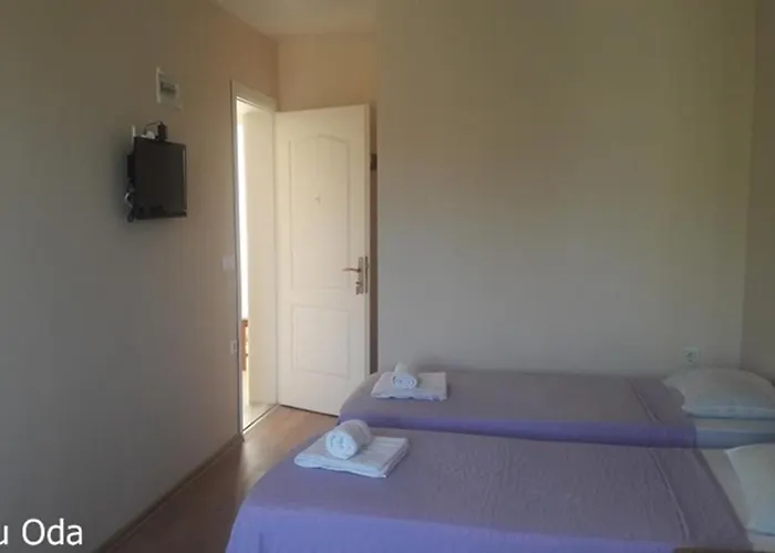 Camlaraltipansiyon Accommodatie bij particulieren *