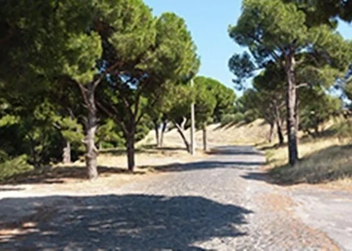 çamlaraltıpansiyon Séjour chez l'habitant Ayvalı