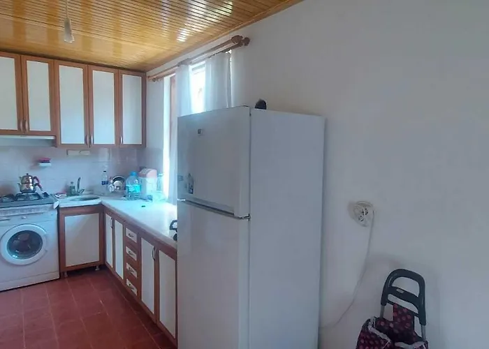 çamlaraltıpansiyon Séjour chez l'habitant Ayvalı